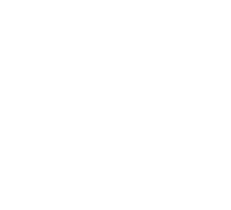 logo naripa villa